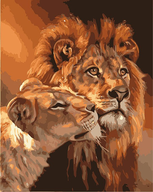 Lion and Lioness Painting by Numbers Picture Lion and Lioness Painting by Numbers Picture