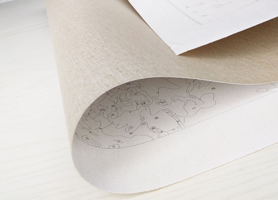 Lion and Lioness Painting by Numbers Picture Lion and Lioness Painting by Numbers Picture