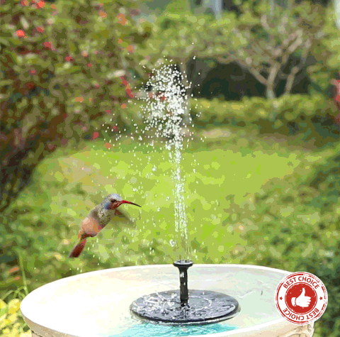 Solar Power Water Fountain with Pump